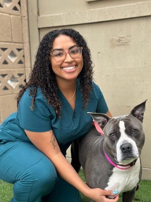 Champayne Master crouching with a gray and white pit bull, supporting community-centered animal welfare consulting at JVR Strategies
